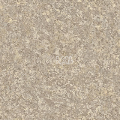 Линолеум Tarkett Sprint Pro DELIO 3 фото 1 | FLOORDEALER